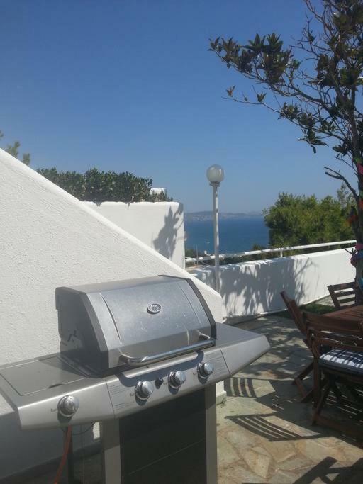 Beautiful, Private Villa By The Sea Agia Marina  Exterior photo