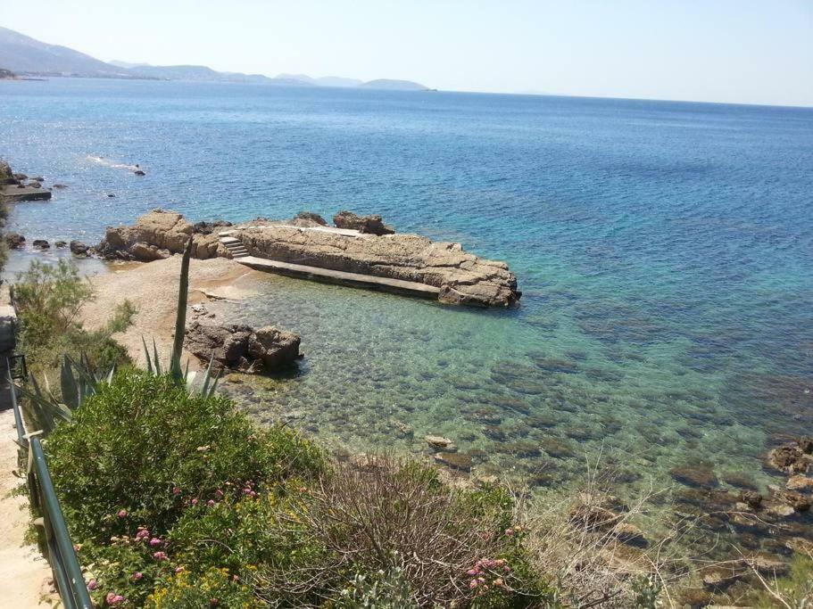 Beautiful, Private Villa By The Sea Agia Marina  Exterior photo