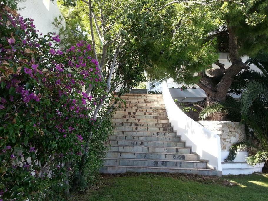 Beautiful, Private Villa By The Sea Agia Marina  Exterior photo